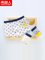 Antarctic childrens underwear boys and girls boxer pants cartoon cotton middle and big children boxer pants baby boys shorts