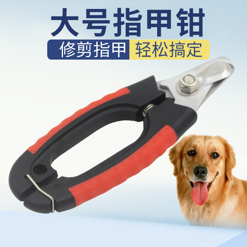 Limey Pet Dog With Big Number Nail Clippers With Golden Hair Teddy Large Dog Beauty Generic