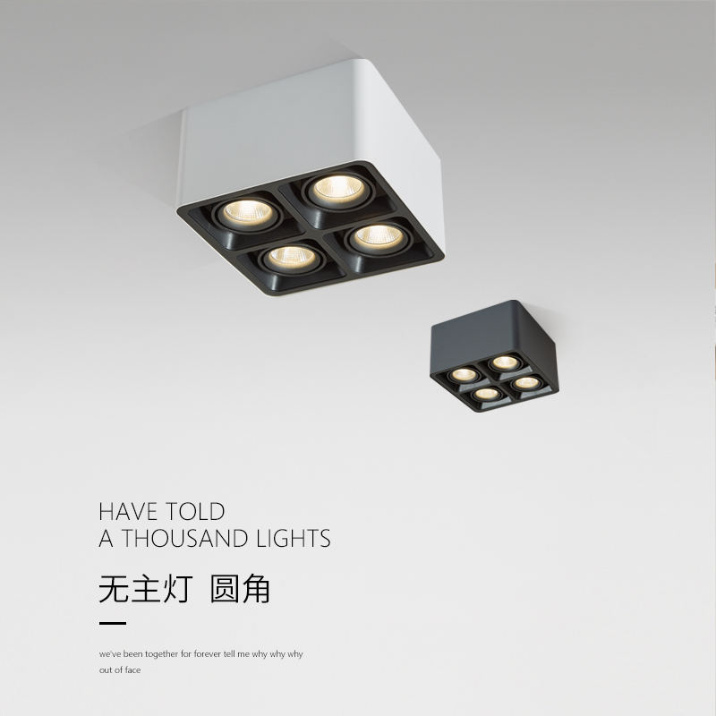 All aluminum-clad lamp lighting room without main lighting box lighting box lamp grilled lamp aisle suction lamp