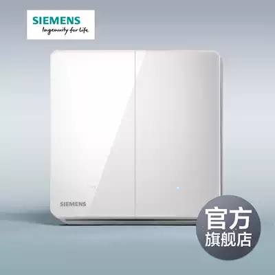 Siemens switch socket panel Ruizi titanium silver frame two open single control with LED switch official flagship store