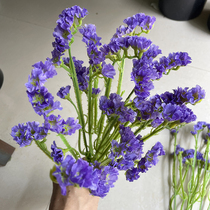 Fake flower forget-me-not bouquet light blue plastic pole cloth petals vase flower bed arrangement artificial flowers cockscomb