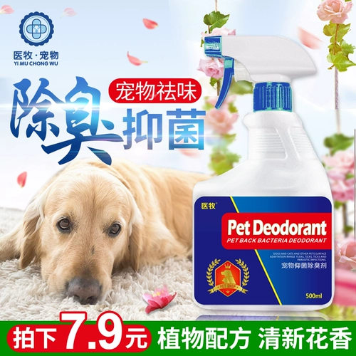 Медицина -пасти собаки дезодорант домашние животные дезинфекция стерилизации воды кошка моча мочи плюшевая
