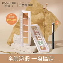 Fidel Five-color concealment plate covers black eye pox printing pimples spots for durable without taking makeup for beginners