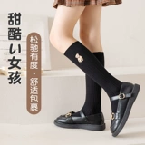 Tide, осенние хлопковые гольфы, детские тонкие высокие сапоги, средней длины, в корейском стиле, с медвежатами