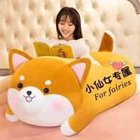 Симпатичная модель Шиба Ину. Маленькая фея