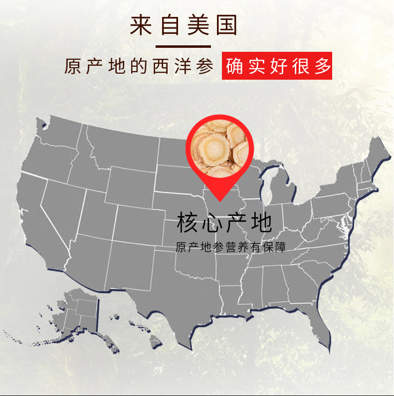 Dragonest/龙巢 美国进口 西洋参片切片 50g 图4