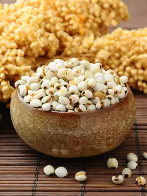 Zhu Luke Organic small grain barley 250g Northeast specialty grains Barley porridge Barley water Yiren red bean grains