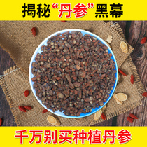 Salvia Chinese herbal medicine Premium 500g wild can take Panax American ginseng health sulfur-free natural tablets