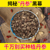 Salvia Chinese herbal medicine Premium 250g wild can be matched with Panax American ginseng health sulfur-free natural tablets