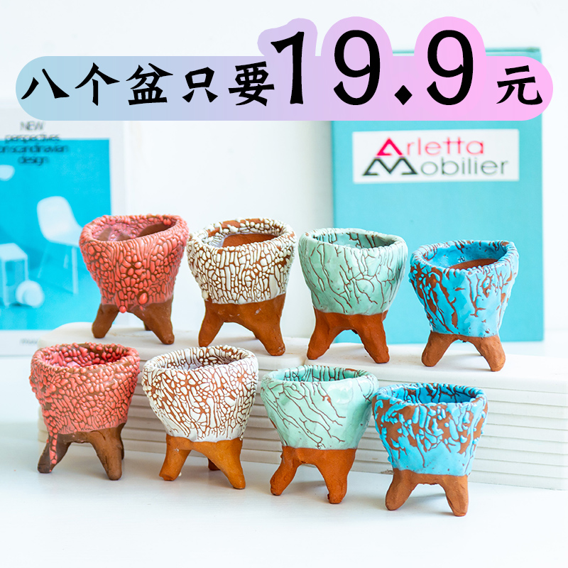 Fleshy flowerpot trumpet through pockets tao meaty plant violet arenaceous ceramic medium sale wholesale package mail packages