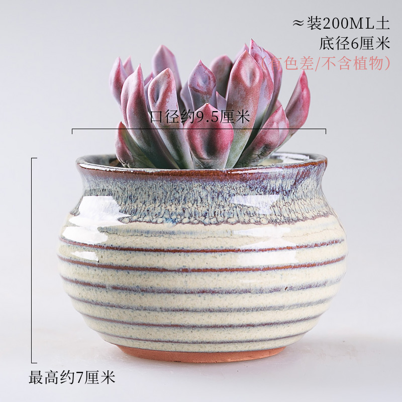 Meaty plant flower pot is more than meat flowerpot coarse pottery ceramic green the plants contracted plastic creative medium