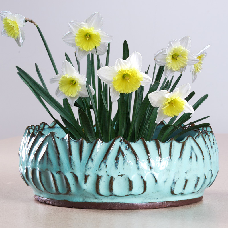 Refers to other non - porous ceramics sleep bowl lotus grass daffodils cooper hydroponic flower pot simple retro new flower pot