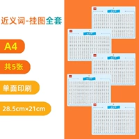 Синонимы висят рисунок A4 (5 фотографий)