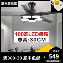 Low floor fan lamp ceiling fan lamp black Nordic restaurant iron leaf with fan LED lamp fan industrial wind