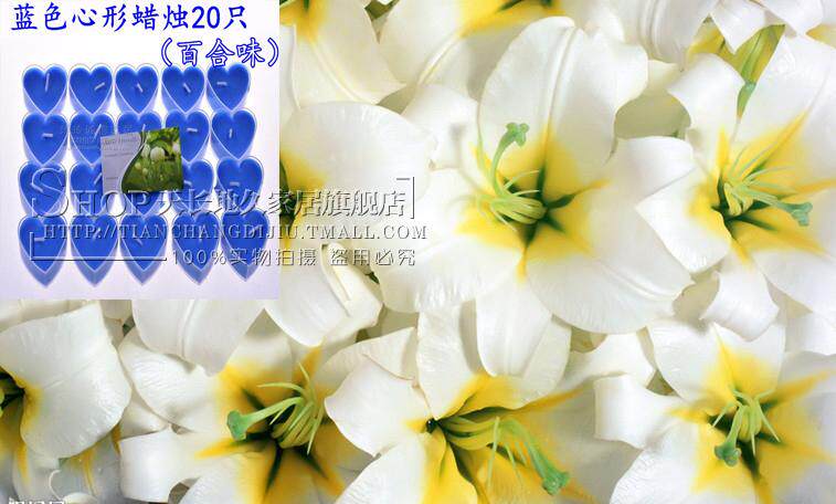 Bougie      - Ref 2488138 Image 7