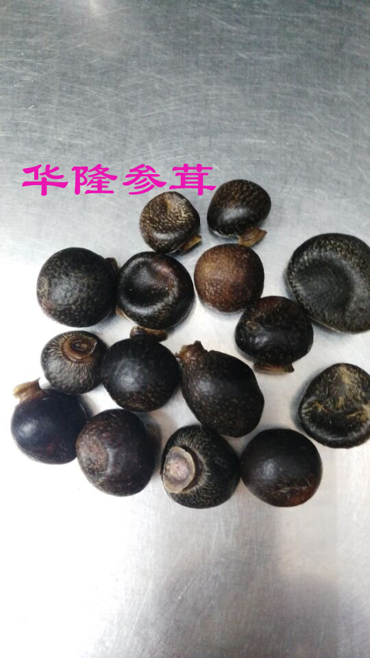 Hualon Ginseng Furry Jilin Hunchun Deer Tail RMB300  RMB300  12 30 Years Real Physical Store Welcomes Your Visit