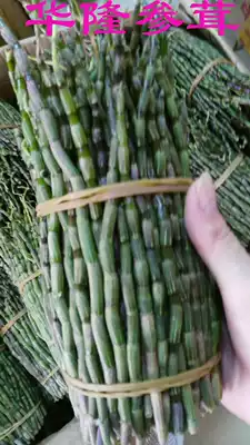 Hualong ginseng bird's nest Fresh Dendrobium Dendrobium maple bucket 9 yuan two 250 can be 30 years physical store