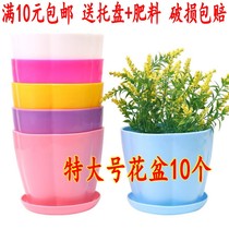 Office creative horizontal color plastic flower pot rose chrysanthemum candy color simple fresh material large flower pot tray