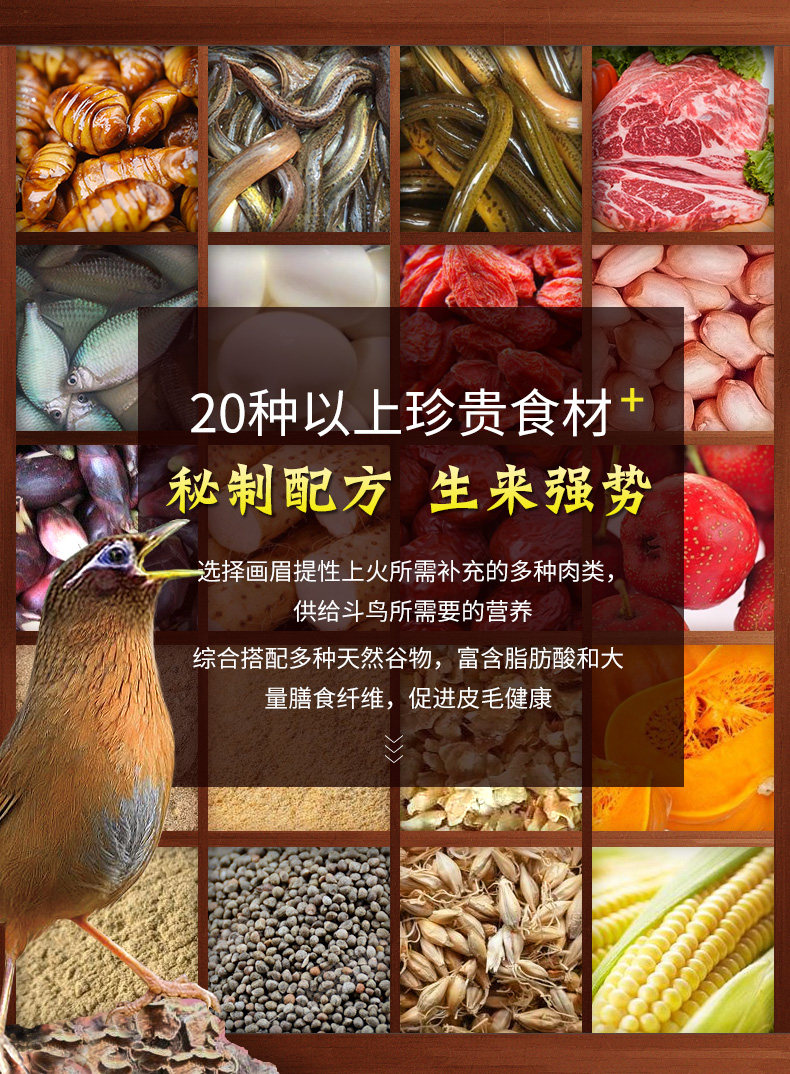 Weibi Dhrush и Bird Food_03.jpg