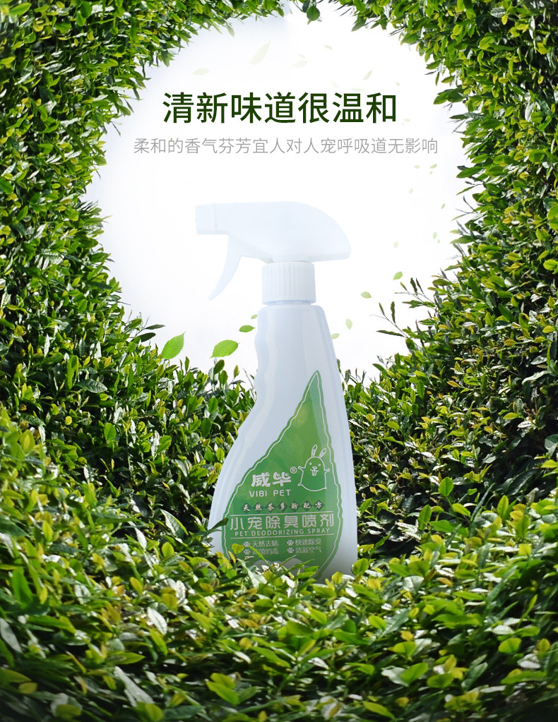 Asdq-recovery_08.jpg