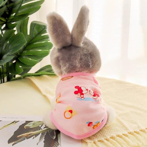 Зимний удерживающий тепло кролик, домашний питомец