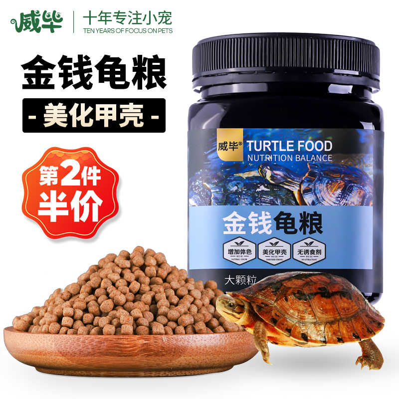 Tortoise Grain Money Small Turtle Feed Stone Tortoise South Stone Turtle Yellow Edge Half Water Turtle Special Food Tortoise Stock Turtle Open Rations