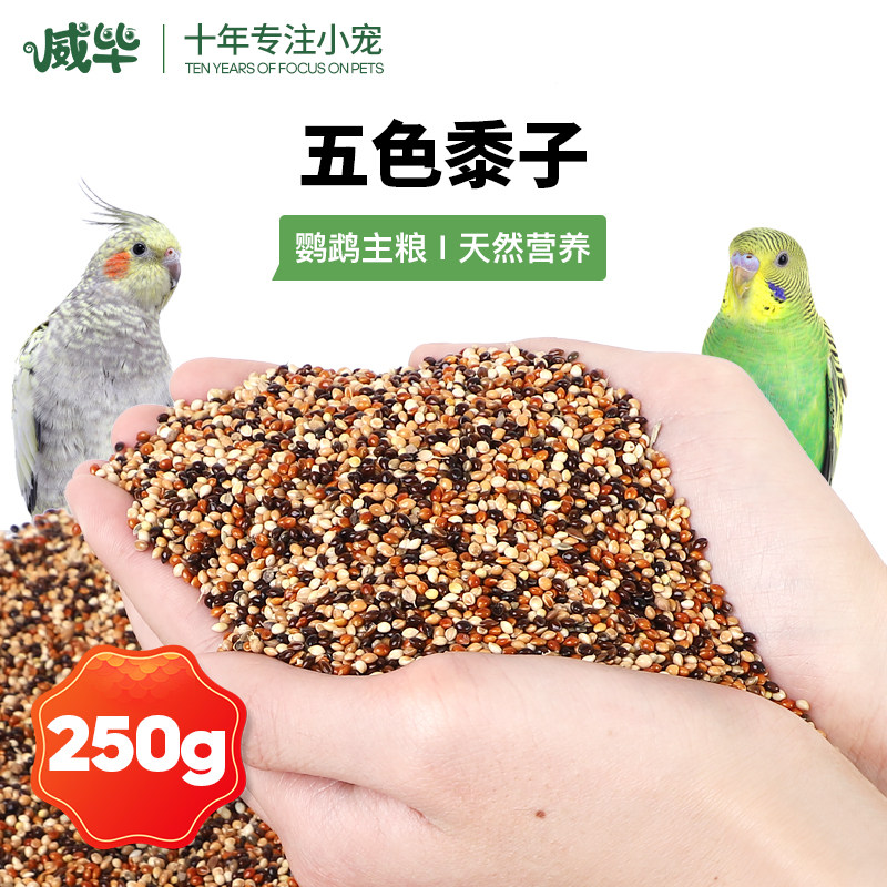 Weibi Bird Eating Bird Bird Bird Tiger Leather Peony Parrot Mixed Feed Five-color Millet with husky millet 250g