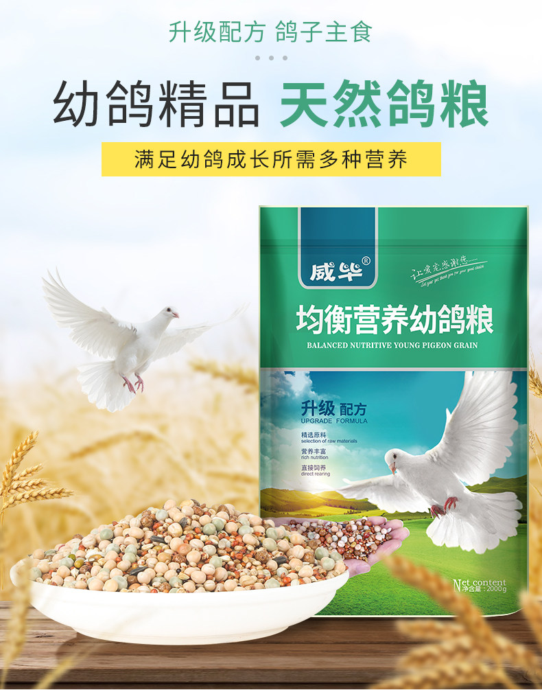 Корм для молодых голубей _01.jpg