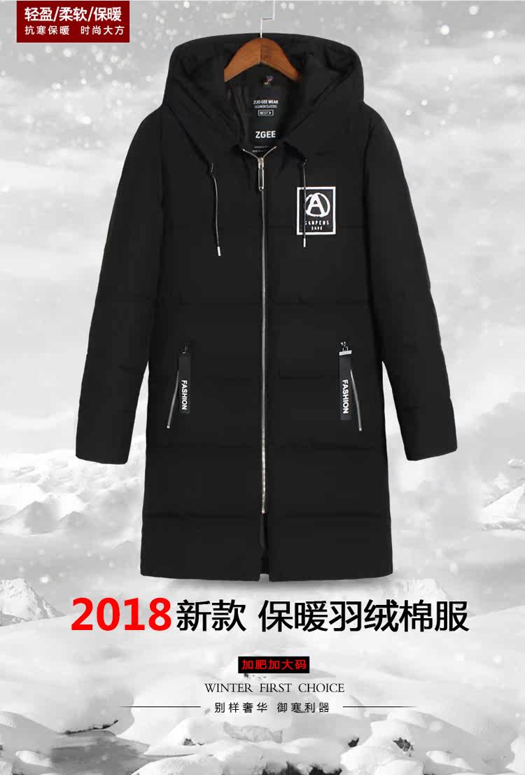 Blouson hiver pour homme DAMJOY     - Ref 3112432 Image 8