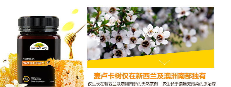 澳洲原装进口绿之华天然野生纯净麦卢卡蜂蜜5+活性 MGO 100 1kg 产品系列 第10张 澳洲原装进口绿之华天然野生纯净麦卢卡蜂蜜5+活性 MGO 100 1kg 产品系列 第10张