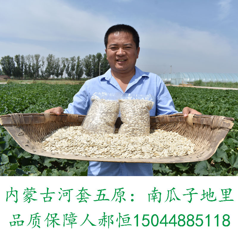 21 years New stock original taste of South Guazzi Inner Mongolia Gourd Seeds Blockbuster White Piguazi Snack Nuts for Nuts Fried