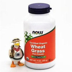 US NowFoods ຝຸ່ນ wheatgrass ອິນຊີສໍາລັບແມວແລະຫມາເສີມເສັ້ນໄຍດິບເພື່ອກໍາຈັດຂົນຂົນ.