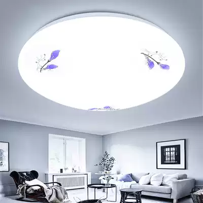 Limited-time special offer LED round-shaped living room Balcony Bedroom room Dining room Kitchen and bathroom ceiling lamp Warm aisle Corridor
