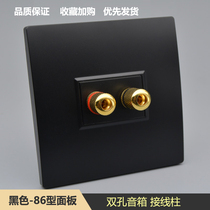 Black one speaker speaker wire wall panel binding post wall panel double head audio panel switch socket