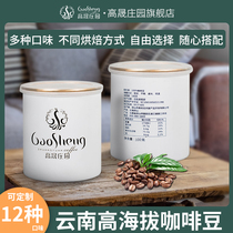 Small cans Coffee 100g Fresh baking Arabica coffee beans Yunnan Teeste-style Blue Mountain Balanced and high