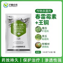 Yifan Sui 47% Chunlei Wang Cutomycin Fruit Tree Citrus Pitaya Canker Disease Efficient Pesticide Fungicide