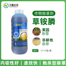 Glufosinate-ammonium-glufosinate Orchard Citrus Orchard wastelands weed herbicide rotten root pesticide