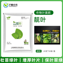 Foliar fertilizer water-soluble fertilizer trace element fruit tree vegetable flower universal green leaf slightly green leaf fertilizer