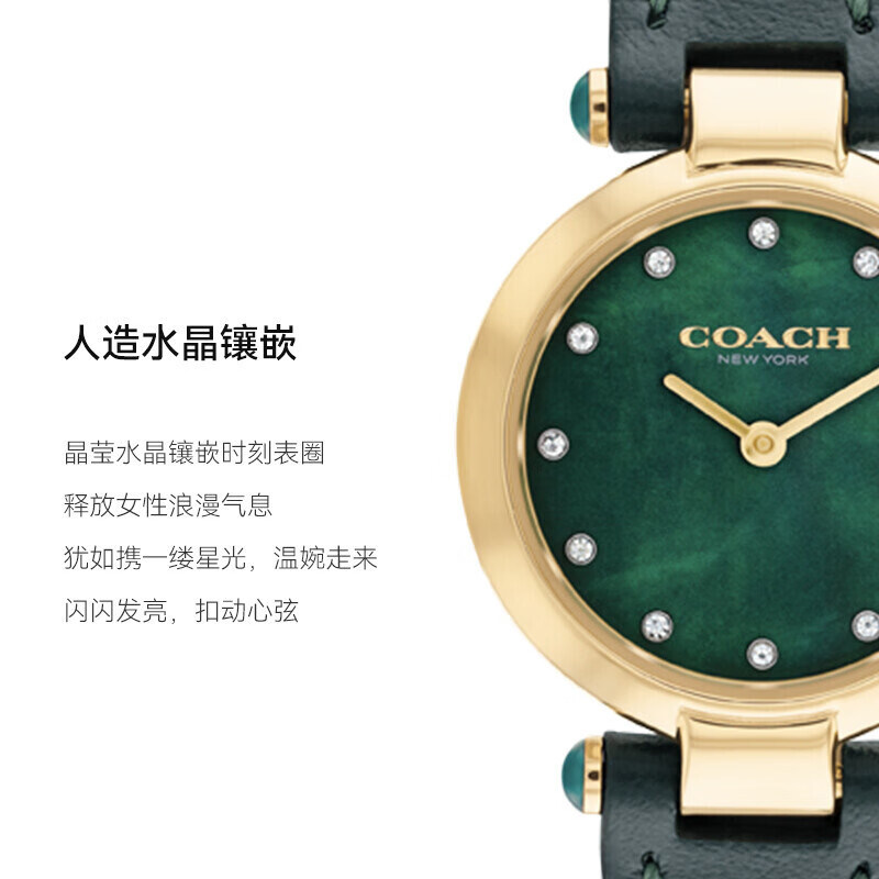 COACH Women's Watch Cary Small Green Watch Mother-Of-Pearl Dial with Diamonds Quartz Women's Watch Gift for Girlfriend