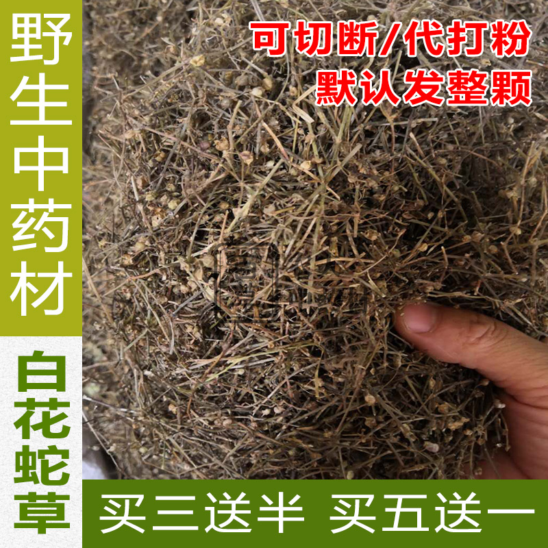 Natural wild white snake tongue snake tongue and snake tongue grass 500 grams of grass for sale of half - lily