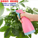 Small watering can universal small nozzle sprayer Coke Sprite bottle beverage bottle spray head spray bottle nozzle with straw