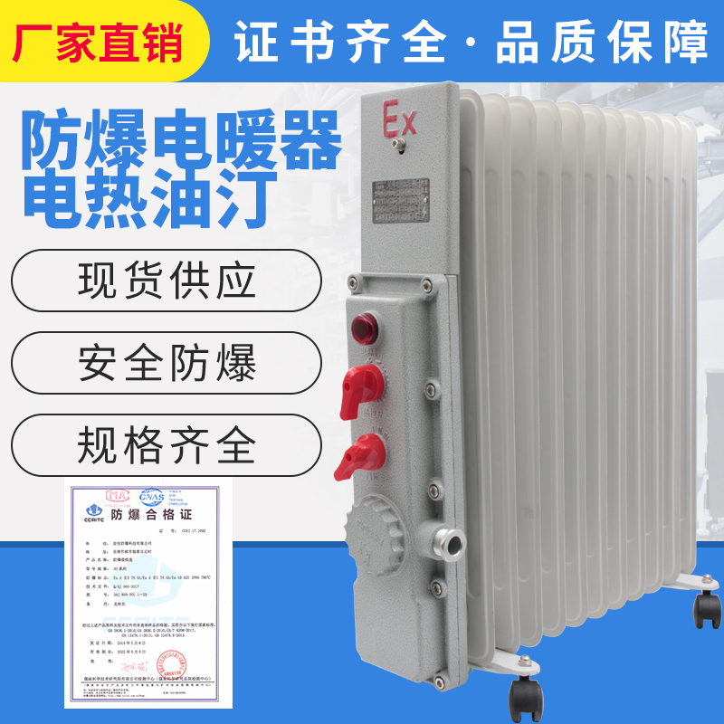 Explosion-proof electric heater 9 sheets 11 sheets 2000W explosion-proof electric hot oil Ting High power heater 3KW warmer 220V