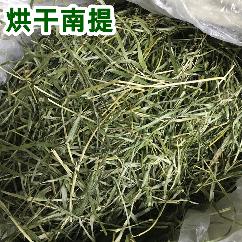 Processed drying Oftimus Nantisse grass hay 500 g rabbit grass totoro grass Dutch pig guinea pig forage feed