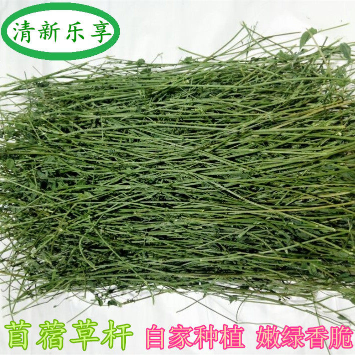 Alfalfa pole alfalfa pole pure pole rabbit grass chinchilla Dutch pig guinea pig calcium molar 500g