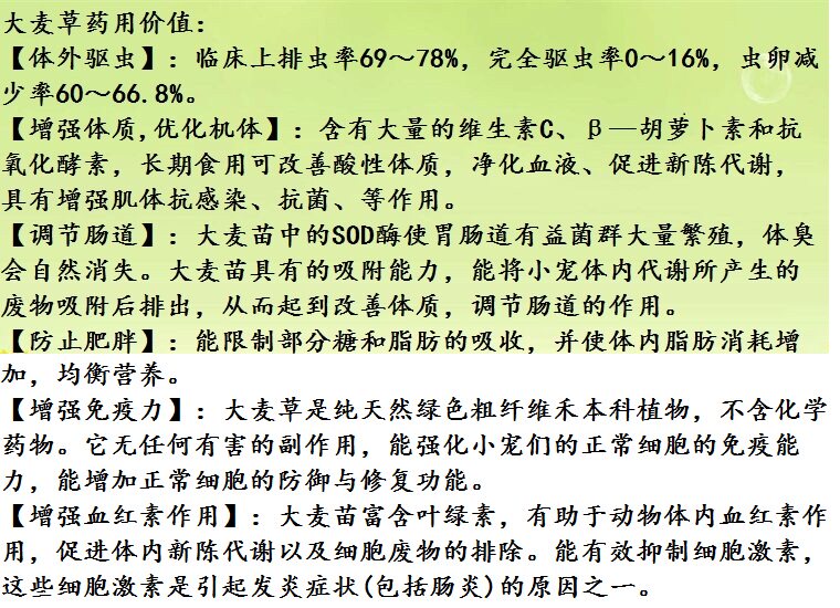 Кролик кролик Хей 23年新大麦草段干草兔子草龙猫荷兰猪豚鼠干牧草饲料粮食4袋包邮 OTHER