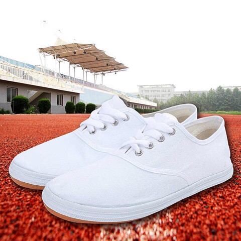 White Mesh Shoes, Canvas Shoes, Sports White Sneakers, June 1St White Shoes, White Cloth Shoes, Dance Shoes, Dancing Shoes, Performance Shoes for Men and Women White Mesh Shoes, Canvas Shoes, Sports White Sneakers, June 1St White Shoes, White Cloth Shoes, Dance Shoes, Dancing Shoes, Performance Shoes for Men and Women