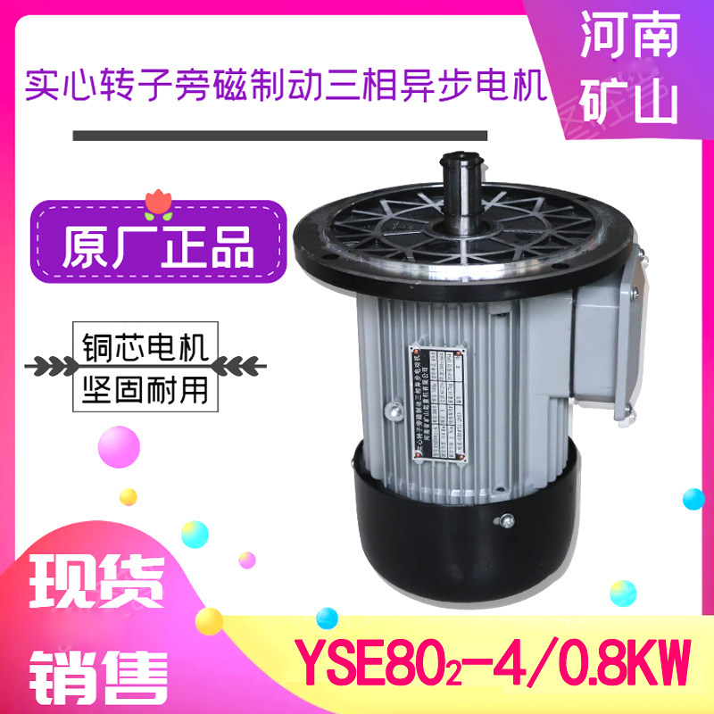YSE802-4 0 8KW solid rotor side magnetic brake motor crane crane gantry crane running motor
