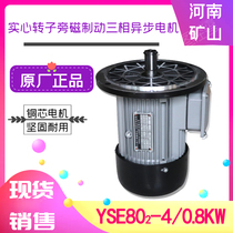 YSE802-4 0 8KW solid rotor side magnetic brake motor Crane crane gantry crane operating motor