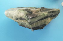 Du jade raw stone natural Nanyang Dushan jade bare stone wool 2 6 pounds 0140-- 6