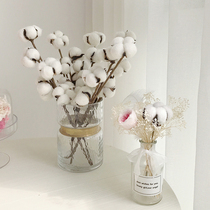 Man Island warm winter cotton branches Austin immortalized flowers Dried flower vase Nordic home decoration shop soft outfit